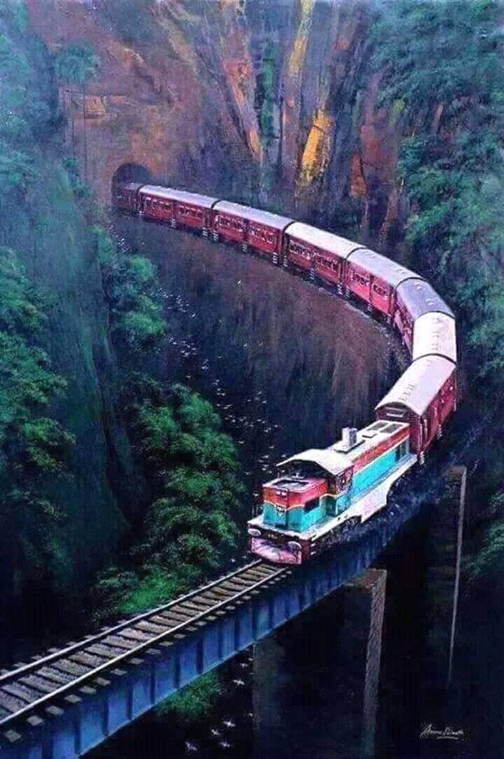 Scenic train passing through lush hills in India