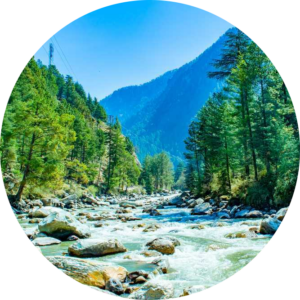 Crystal-clear mountain river flowing through a pine forest valley in Himachal Pradesh.