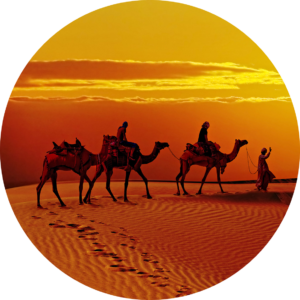 Camel caravan crossing golden sand dunes during a vibrant desert sunset in Rajasthan.